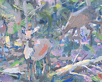 Carole Rabe Painting - Deer in Dappled Forest