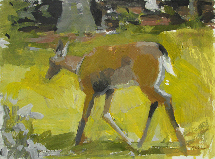 Deer Walking