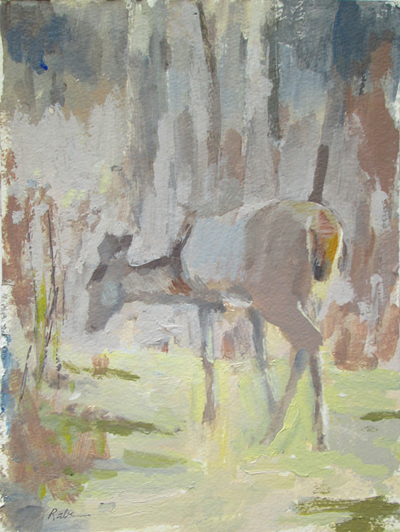 Deer in Spring