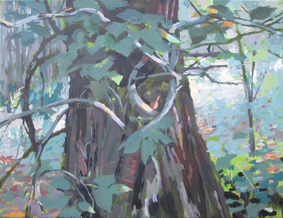 Poison Ivy Strangling Tree
