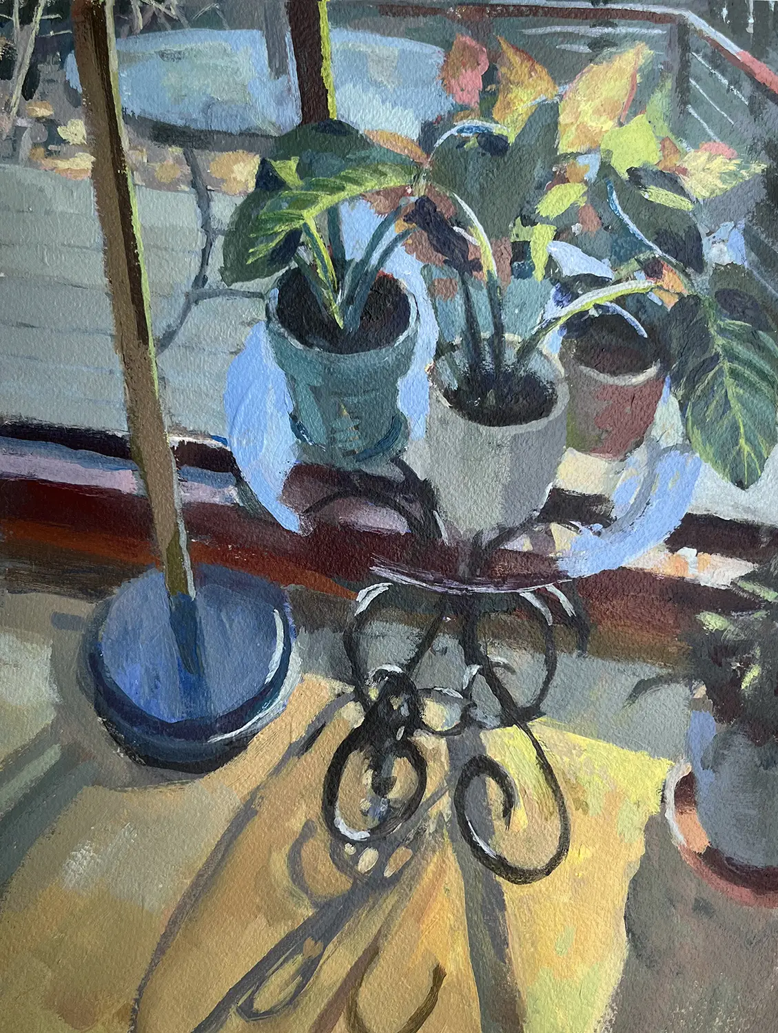 Plants on Glass Table