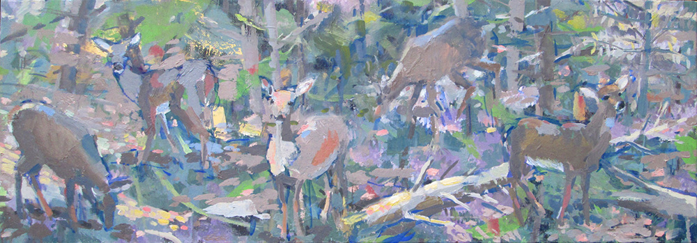 Deer in Dappled Forest