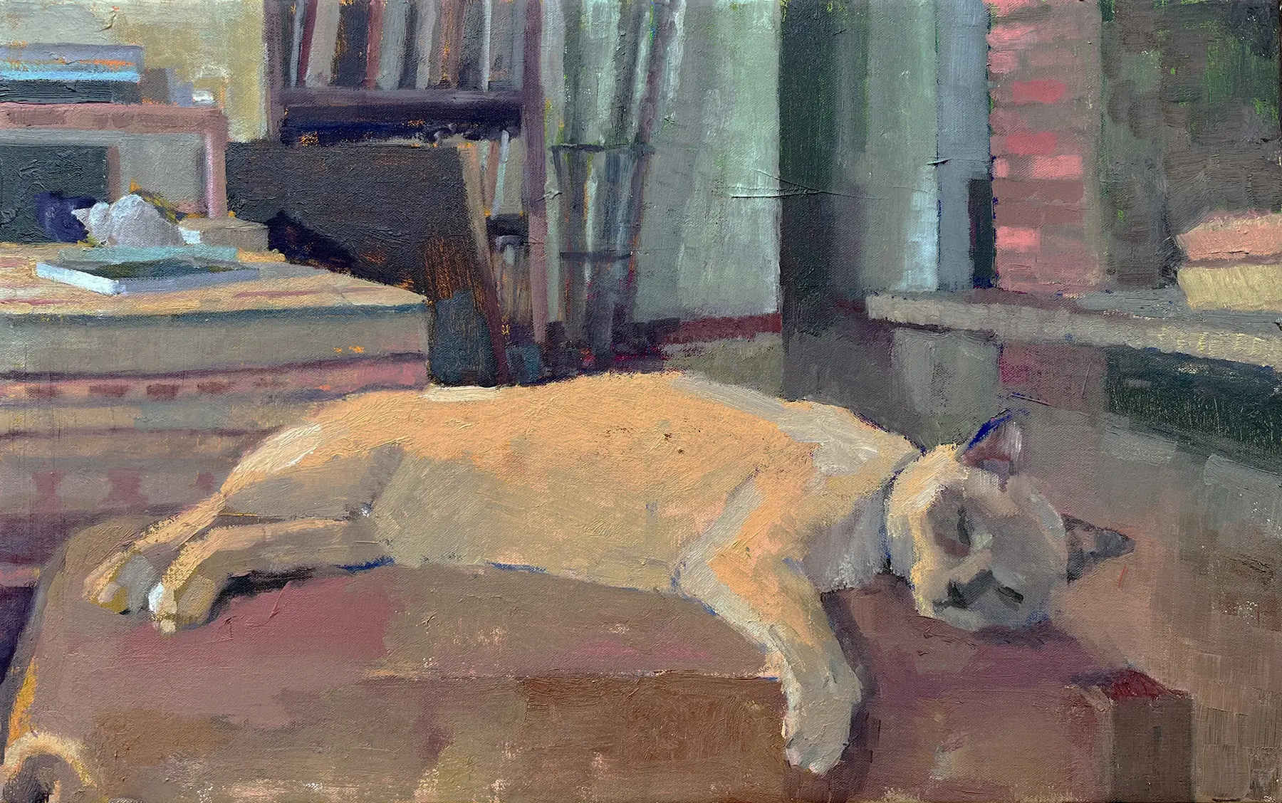Cat Nap