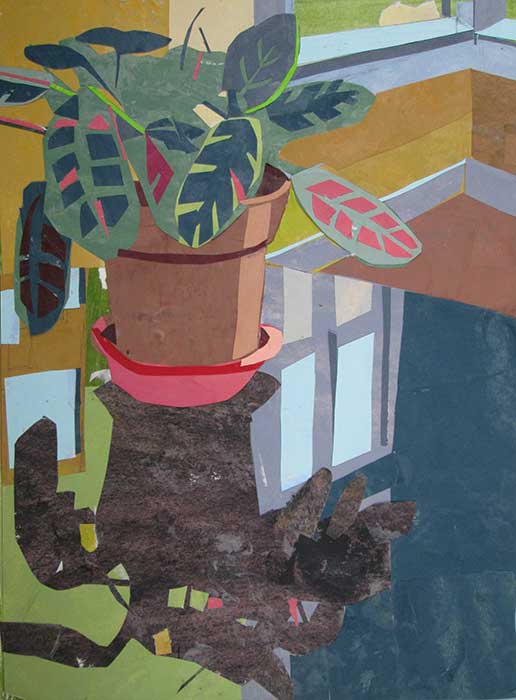 Prayer Plant