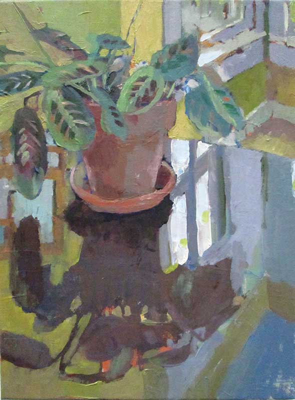 Prayer Plant